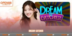 Dream catcher