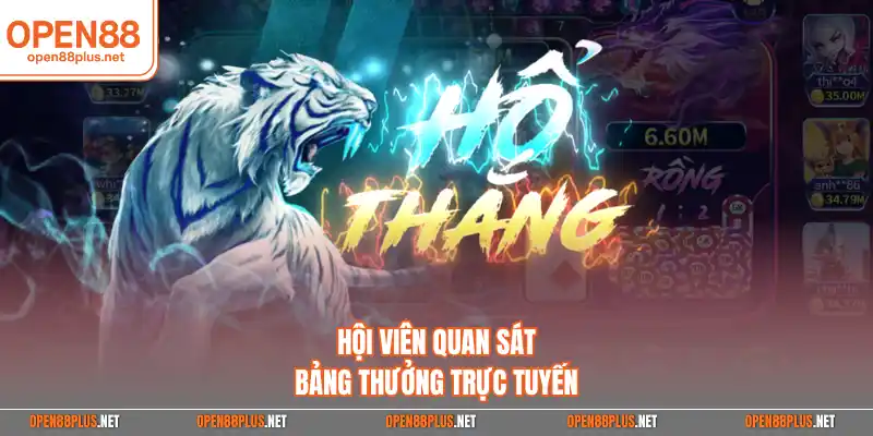 Hội viên quan sát bảng thưởng trực tuyến