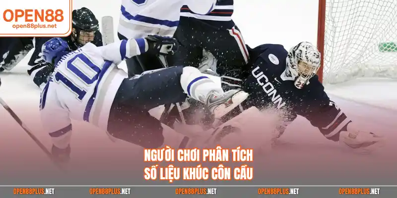 Người chơi phân tích số liệu khúc côn cầu