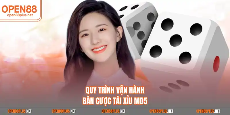 Quy trình vận hành bàn cược tài xỉu MD5