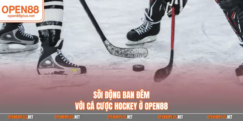 Sôi động ban đêm với cá cược hockey ờ Open88