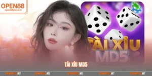 Tài Xỉu MD5