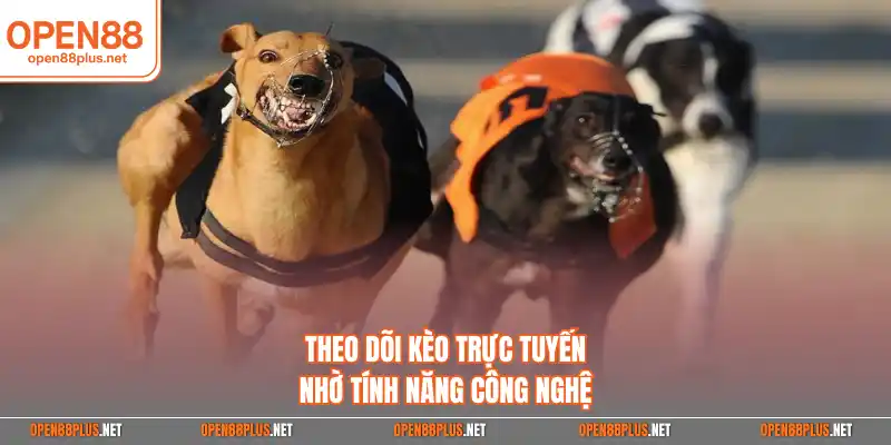 Theo dõi kèo trực tuyến nhờ tính năng công nghệ